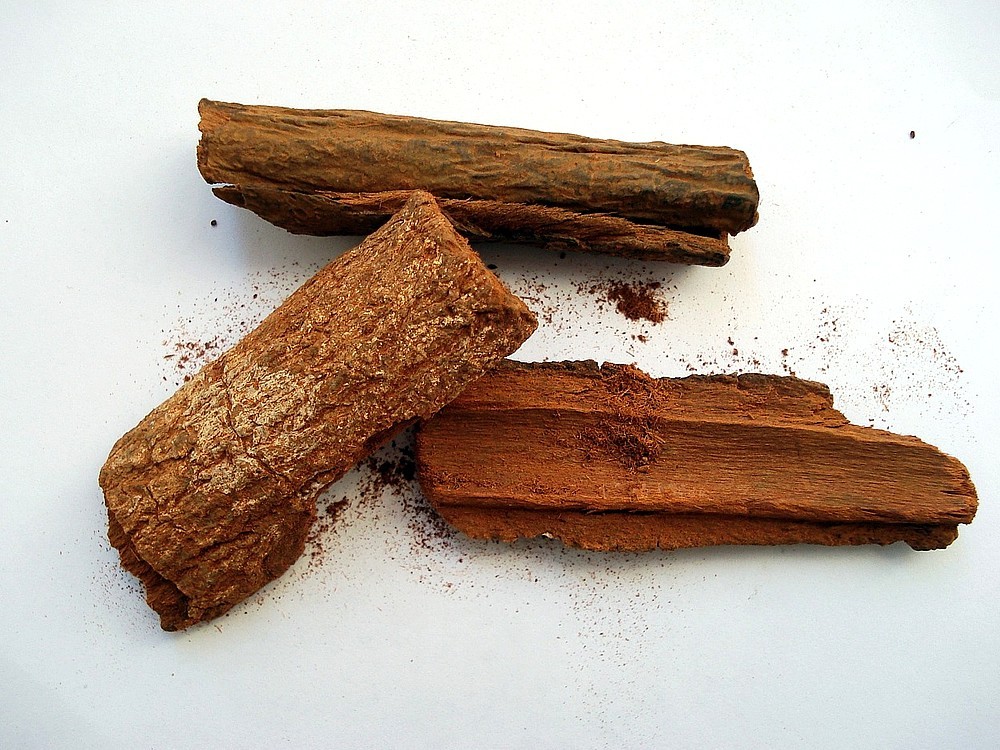 Was Ist Chinin? Wozu Dient? Von Welchem Baum Wird Chinin Entfernt?