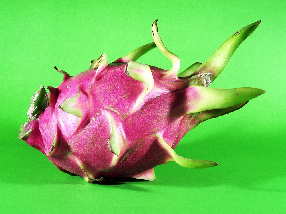 Was Ist Die Drachenfrucht? Was Sind Die Vorteile? Wächst er in der Türkei?