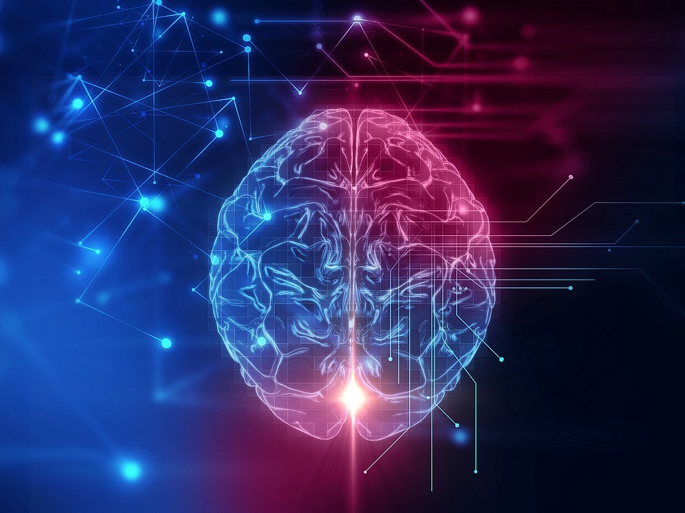 Was Ist Epilepsie? Wie Wird Die Behandlung Durchgeführt? Was Sind Die Sorten?