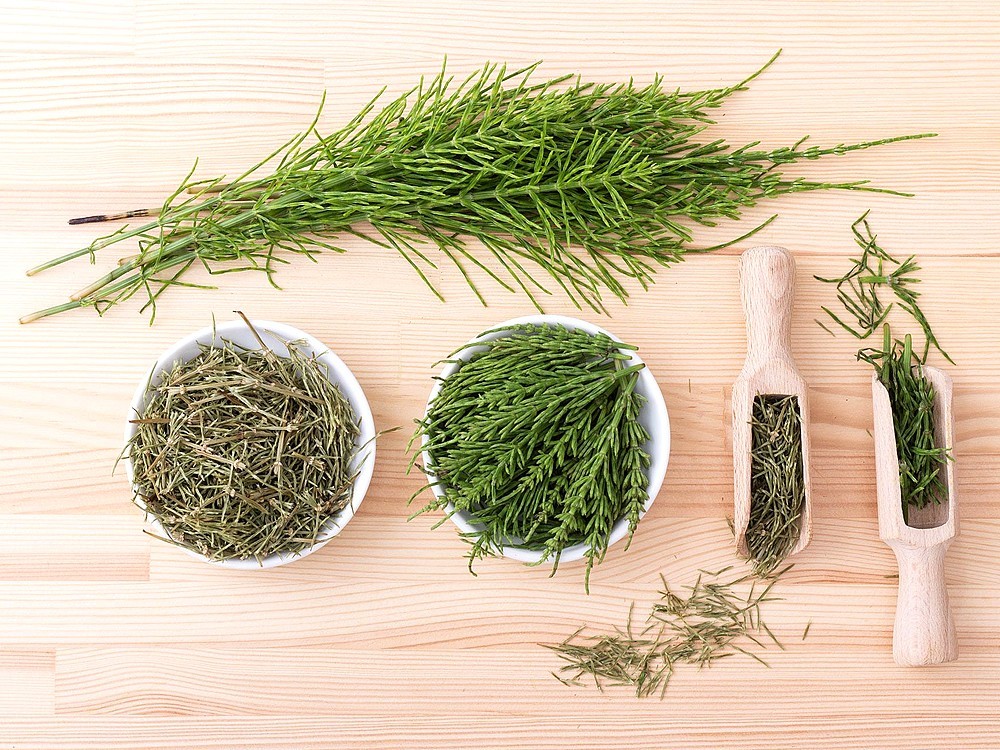 Wie Bereitet Man Equisetum Arvense Tee Vor? Wann Sollte Man Trinken? Nutzen und Nachteil