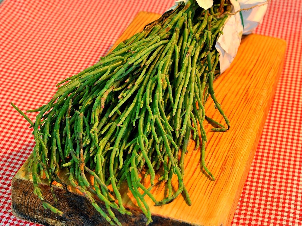 Was Ist Europäische Queller? Vorteile, Rezept, Preis