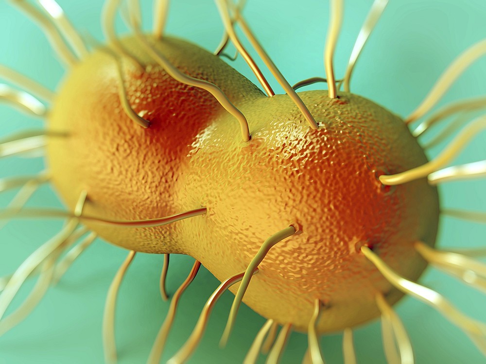 Was Ist Gonorrhoe? Was Sind Die Ursachen? Wie Lange Dauert Die Behandlung?