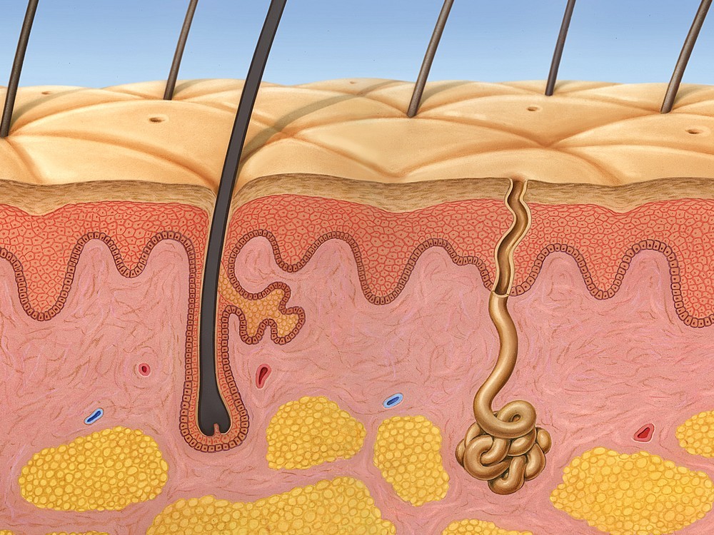 Was Ist Eine Haarwurzelentzündung? Was Hilft? Was Sind Die Ursachen? Wie Behandlung Man Sie?