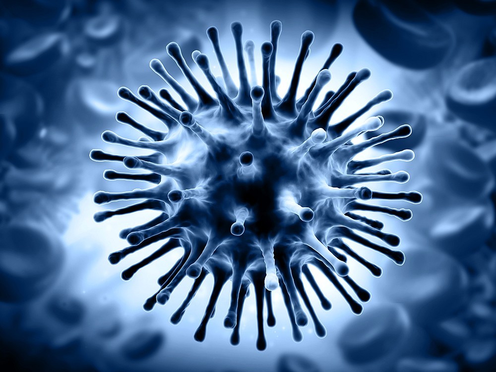 Was Ist Das Influenza Virus? Wie Wird Es Behandelt?