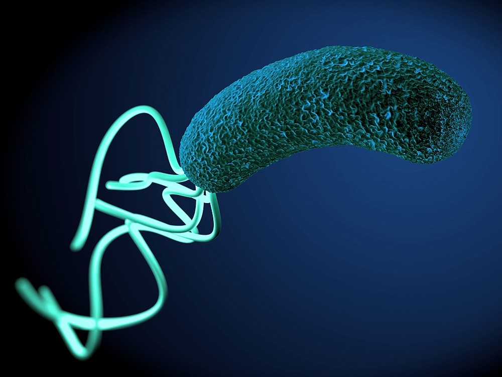Was Ist Eine Magenkeime? Was Ist Gut Für Magenmikroben? Was Sind Die Ursachen? Diejenigen mit Mikroben im Magen und Ihre Behandlung
