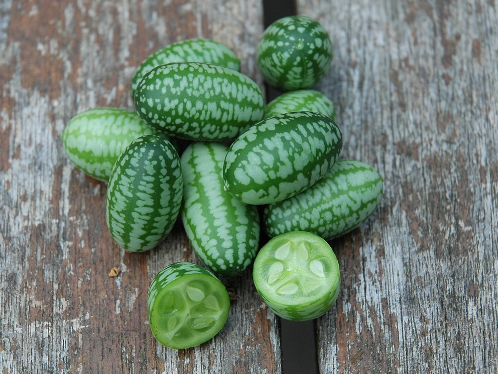 Was Sind Die Vorteile Der Mexikanische Minigurke? Wie Benutzt Man Es? Preis und Bestellung