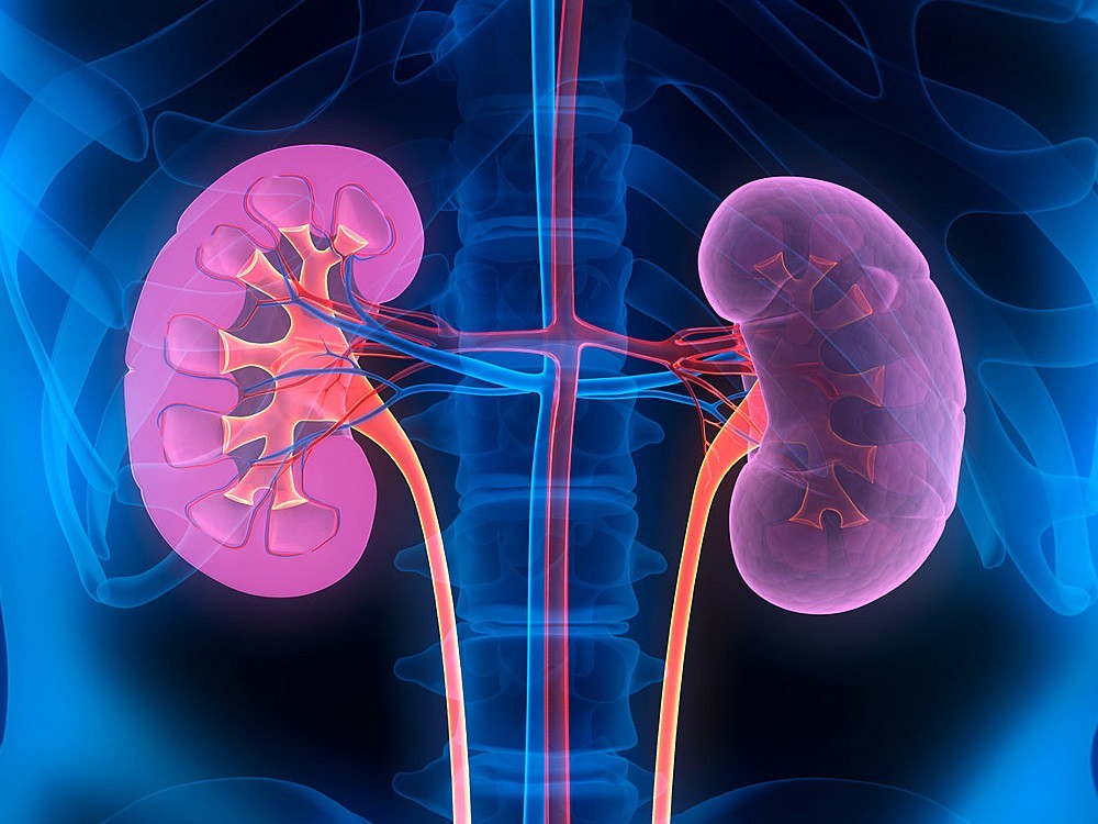 Was Ist Ein Proteinuria? Symptome und Behandlung