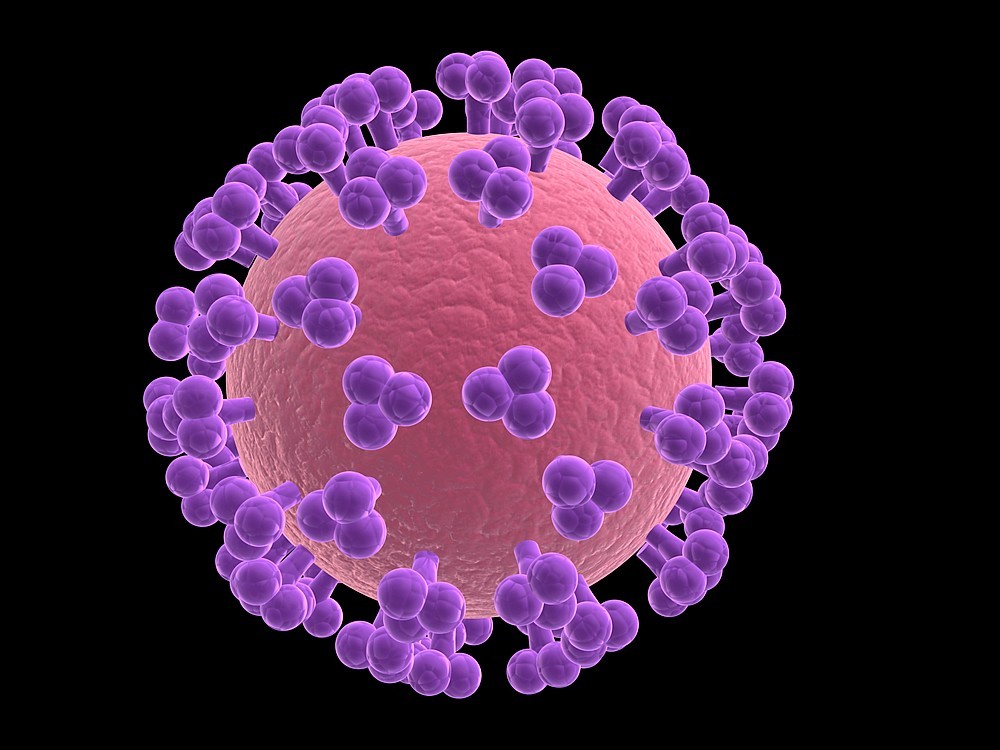 Was Ist Rotavirus? Was Sind Die Symptome? Gibt es ein Behandlung?