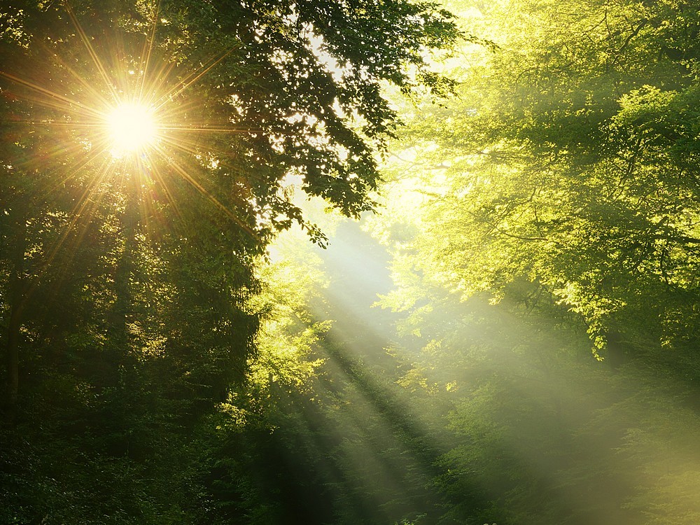 Was sind die Vorteile und Nachteile von Sonnenlicht?