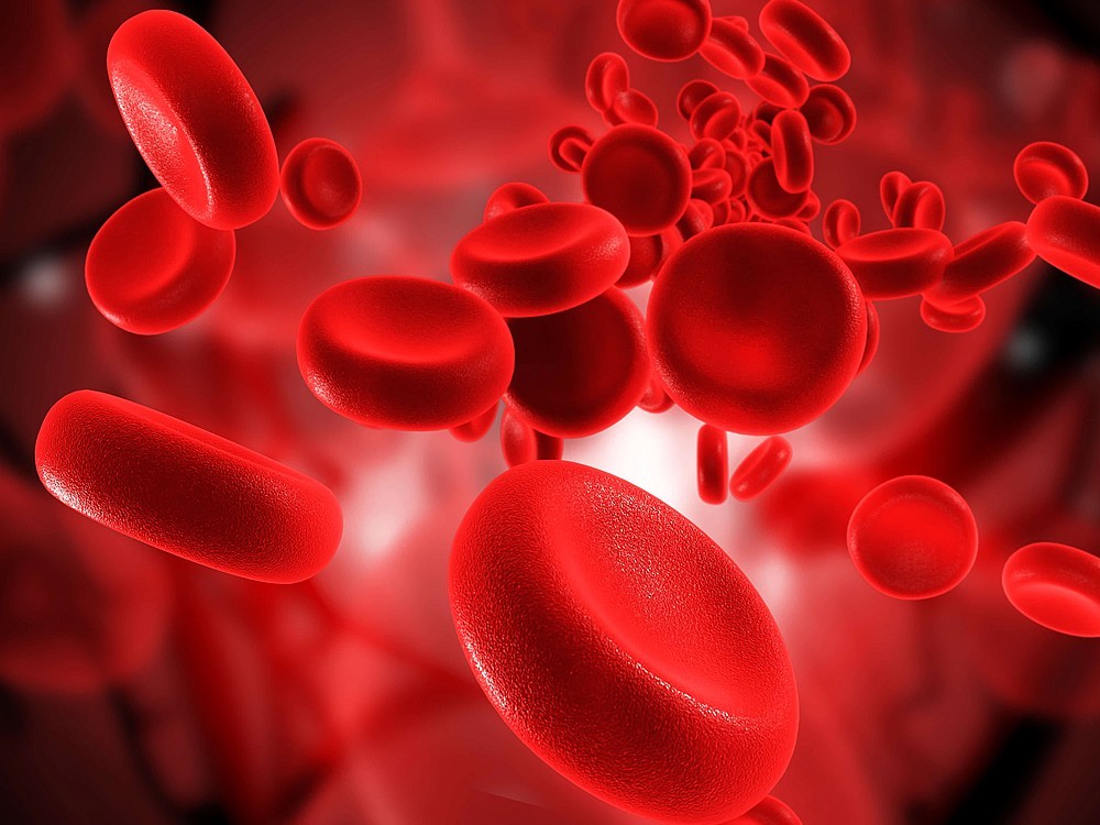 Was Sind Thrombozyten? Was Sind Die Ursachen Für Niedrige Thrombozytenzahl?