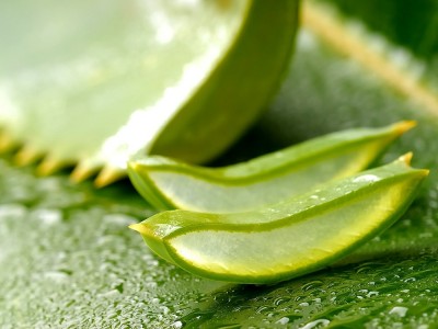 Wie Benutzt Man Aloe Vera Gel? Was sind die Vorteile für die Haut?