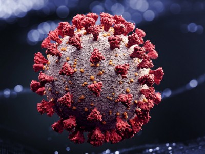 Was ist die Coronavirus Lambda Variante? Wo wurde er gesehen? Was sind die Risiken?