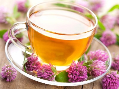 Wie Macht Man Echinacea Tee? Vorteile und Nachteile