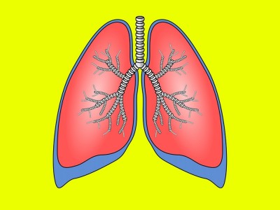 Was Sind Erkrankungen Des Atmungssystems? Ursachen und Behandlung