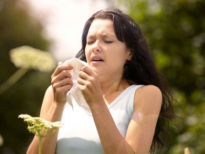 Was Ist Gut Für Frühling Allergie? Was Sind Die Symptome? Wie Wird Es Behandelt?
