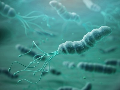 Was Ist Helicobacter Pylori? Was Sind Die Ursachen? Kräuterbehandlung und Diät