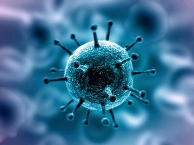 Was Ist Herpes B Virus? Was Sind Die Symptome? Wie Wird Es Übertragen?