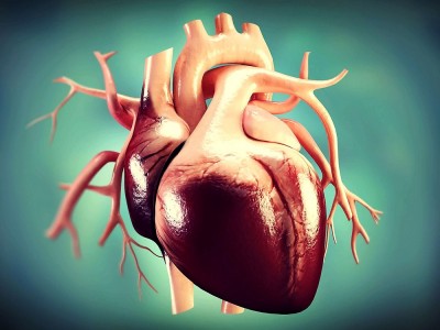Was Ist Ein Herzkrampf? Was Sind Die Ursachen? Was Sind Die Symptome? Verursacht es den Tod?