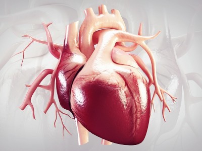 Was Ist Eine Herzmuskelentzündung? Tötet der? Was Sind Die Symptome?