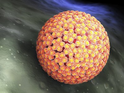 Was ist HPV? Was Sind Die Ursachen? Wie Wird Es Humane Papillomviren Übertragen? Wie Wird Die Behandlung Durchgeführt?