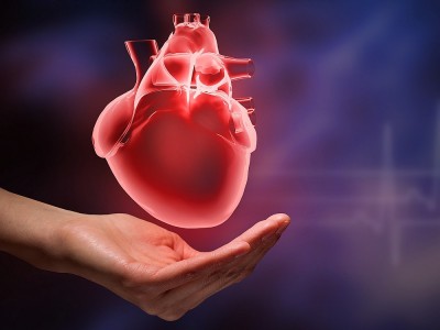 Was Sind Die Ursachen Für Das Kardiomyopathie? Welche Krankheiten Verursacht Es?