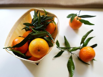 Was Ist Kumquat? Was sind die Vor-und Nachteile? Wie Wird Kumquat Konsumiert? Wie Viel Preis Es?