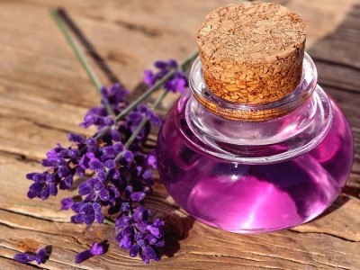Was Sind Die Vorteile Der Lavendel heilung? Ist es gut für die leberschmierung?