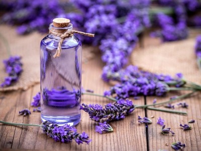 Was Sind Die Vorteile Von Lavendelöl?