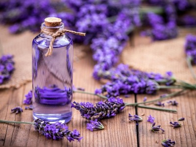 Was Sind Die Vorteile Von Lavendelwasser? Wie Wird Es Gemacht? Was Sind Die Nebenwirkungen?