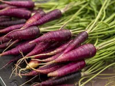 Was Sind Die Vorteile Von Lila Karotten? Kann es Nachteile? Kalorien und Nährwert