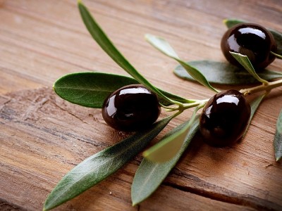 Was Sind Die Vorteile Von Olivenblatt Tee? Wie Wird Es Gemacht?