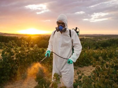 Was Ist Eine Pestizid Analyse? Was sind Arten, Schäden und Verwendung?