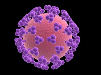 Was Ist Rotavirus? Was Sind Die Symptome? Gibt es ein Behandlung? 