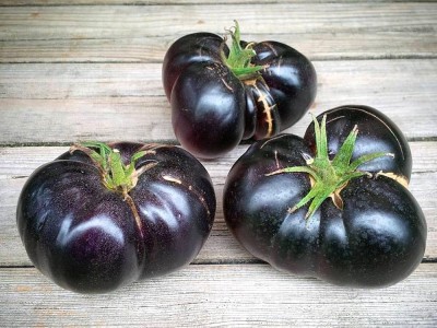 Was Sind Schwarze Tomaten? Wozu Ist Das Gut? Wie werden angebaut?