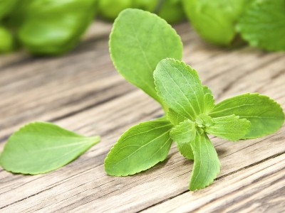 Was Ist Süßkraut? Wie Man Verwendet Wie Wächst Man Stevia Pflanze?